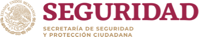 logo seguridad
